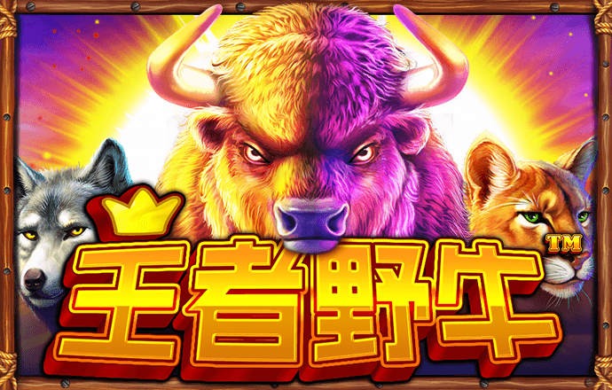 万博全站APP最新版下载入口